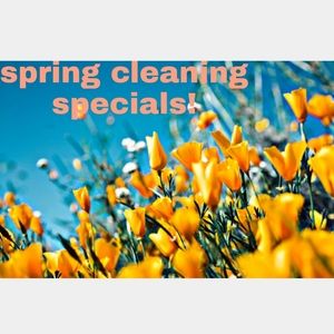 Spring Cleanout